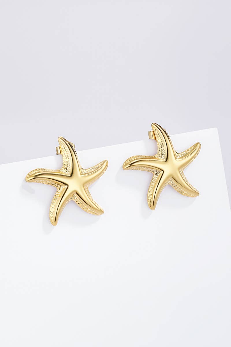 Stainless steel earrings 124AQ414