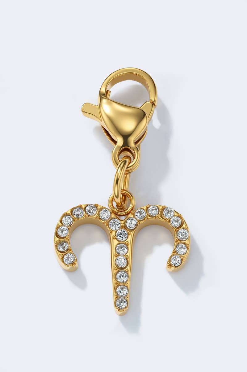 Stainless steel charm CHARM-ZODIAC