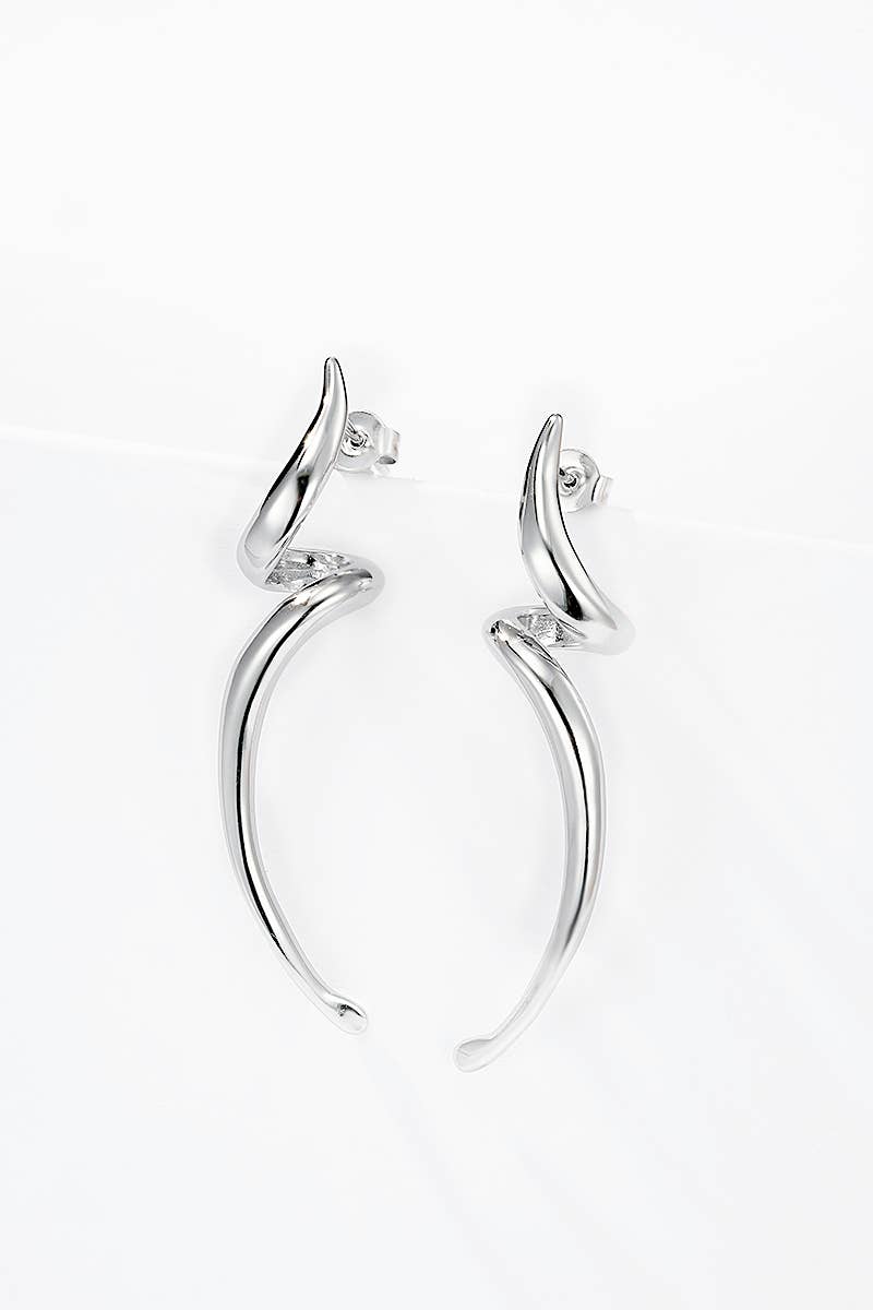 124AQ388 stainless steel earrings