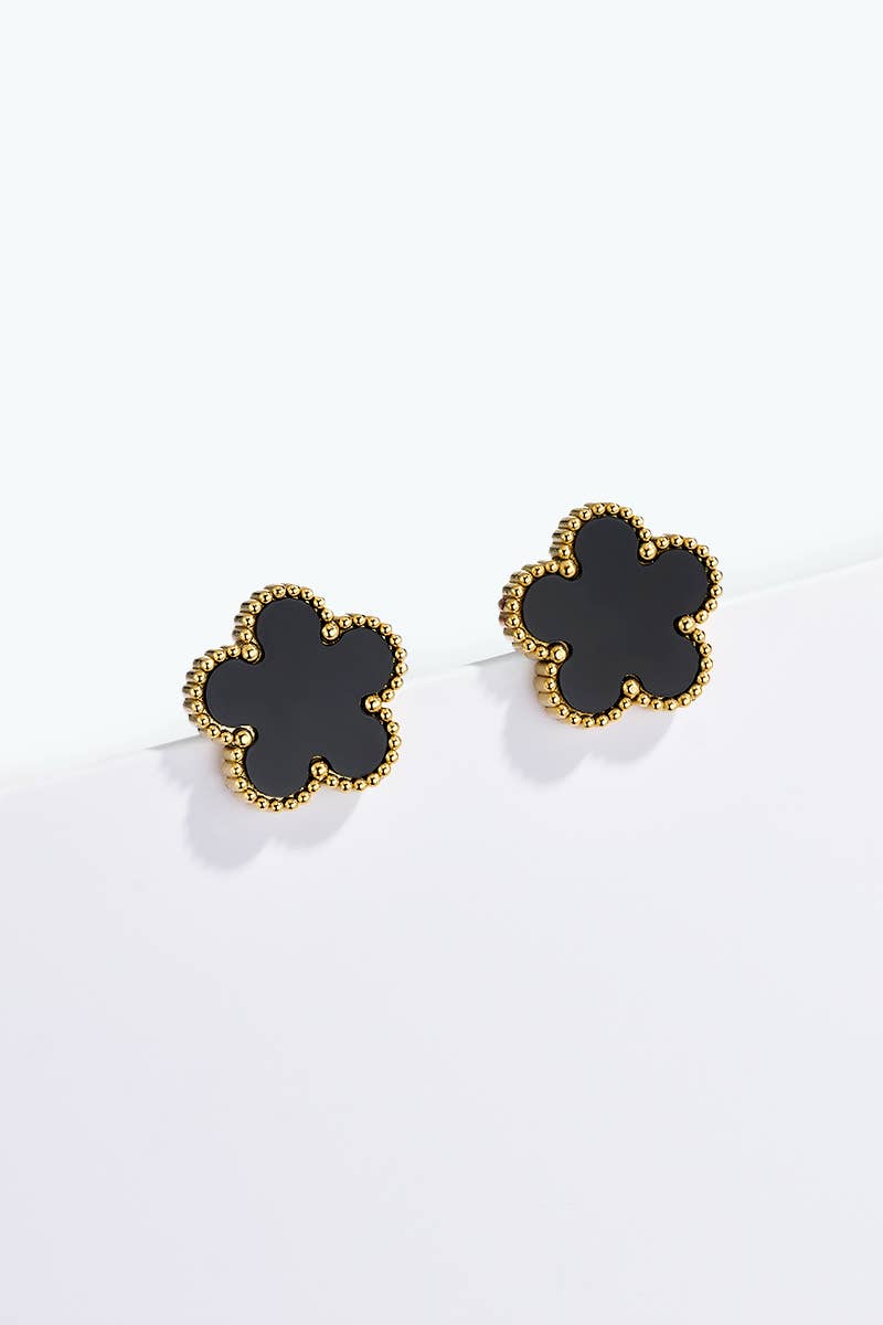 Boucles d'oreilles en acier inoxydable 124AQ001