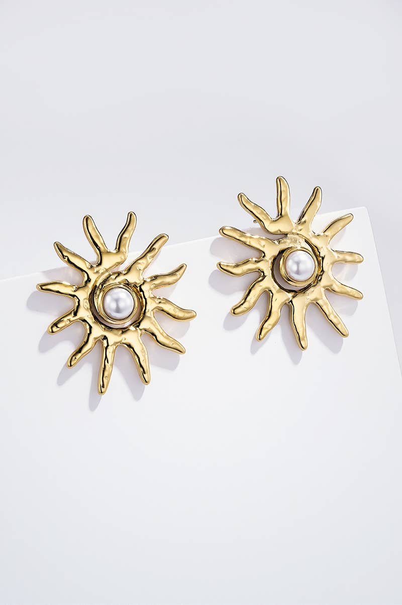 124RX265 stainless steel earrings