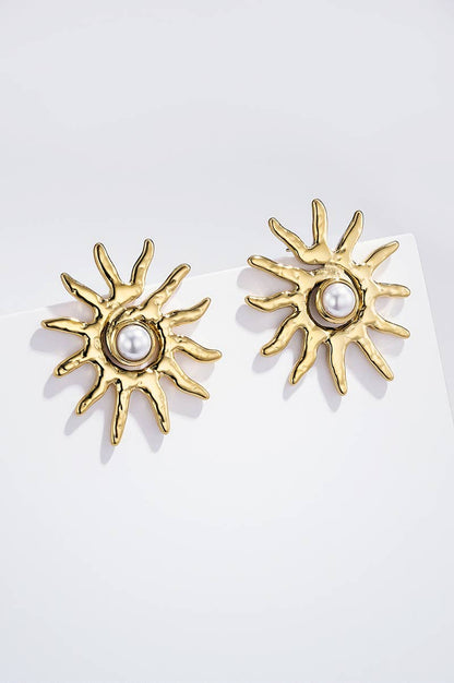 124RX265 stainless steel earrings