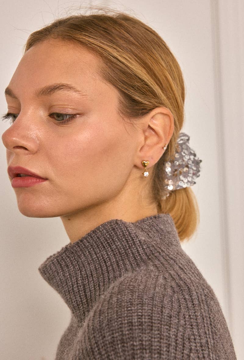 124AQ512 stainless steel earrings