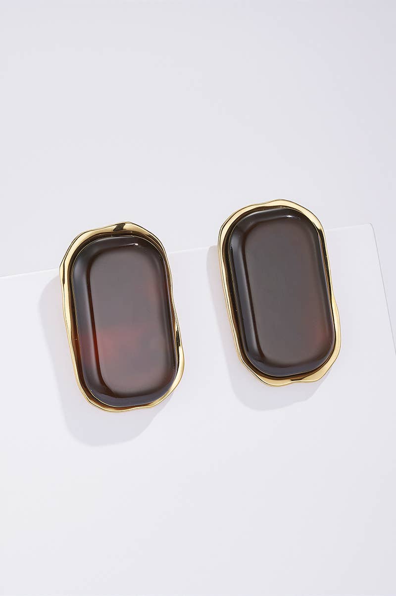 124RX238 stainless steel earrings