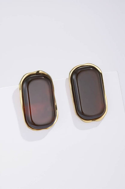 124RX238 stainless steel earrings