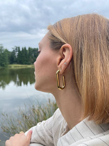 124RX117 stainless steel earrings