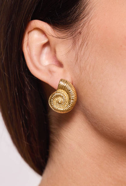 124AQ366 stainless steel earrings