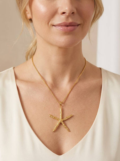 Collier chaîne en acier inoxydable 224AQ235