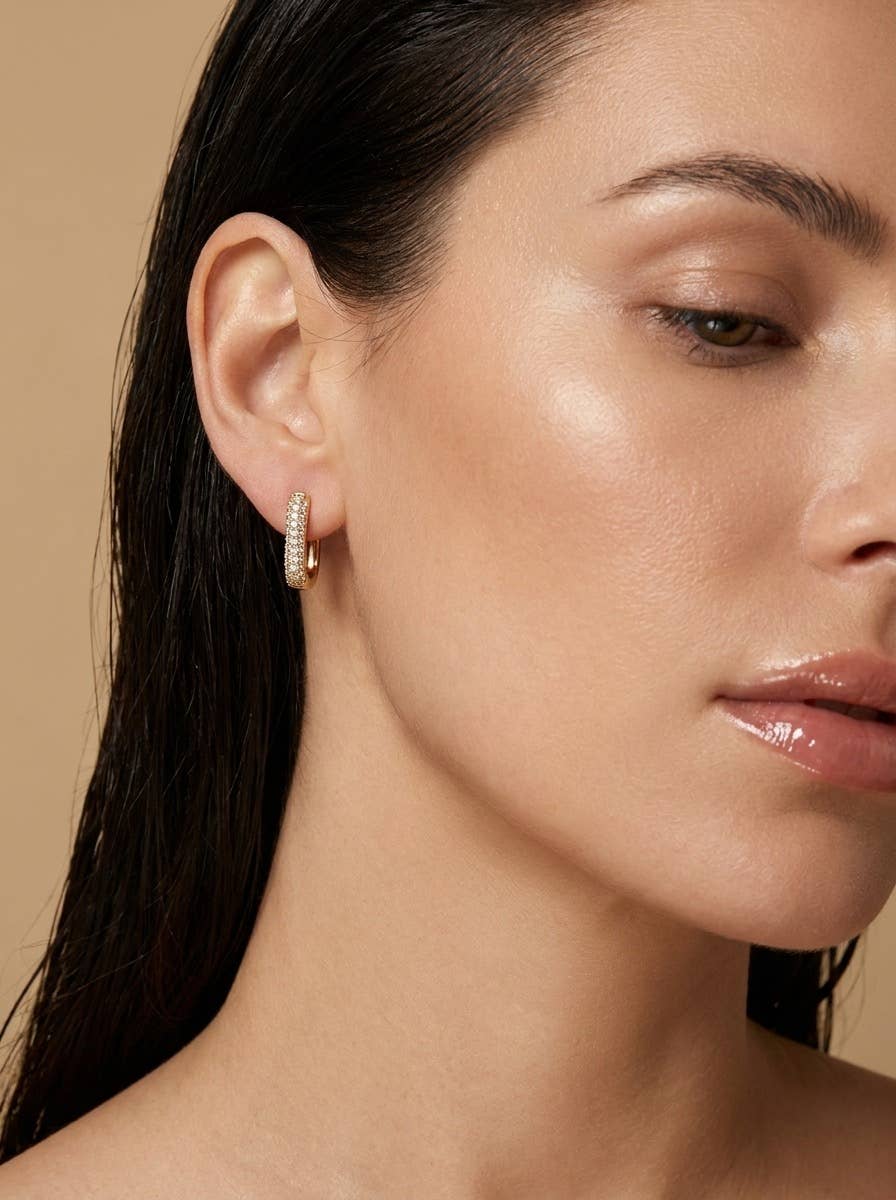 Stainless steel earrings 124AQ647