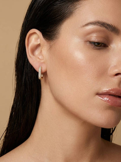 Stainless steel earrings 124AQ647