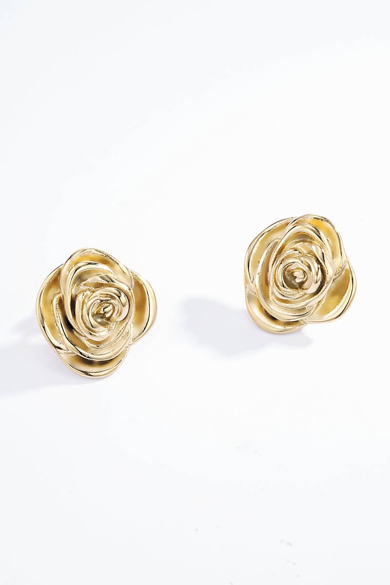 Boucles d'oreilles en acier inoxydable 124DY32