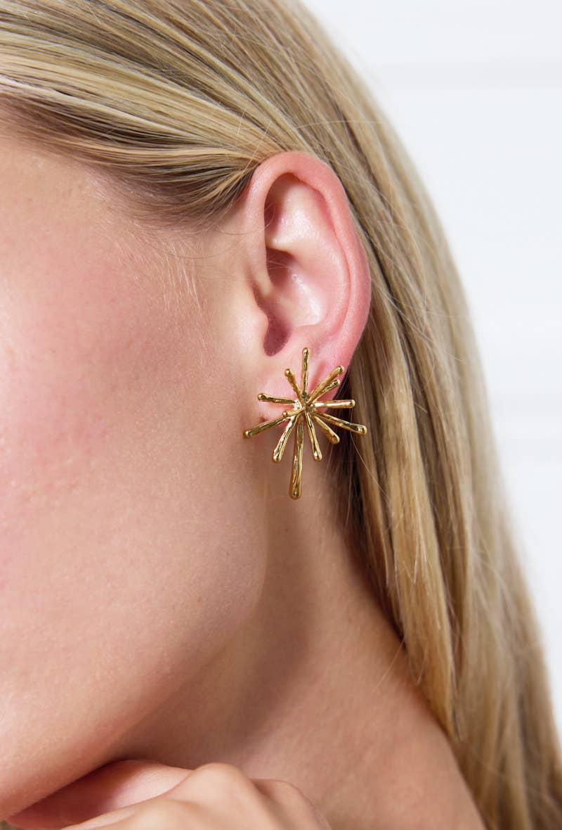 Boucles d'oreilles en acier inoxydable 124AQ258