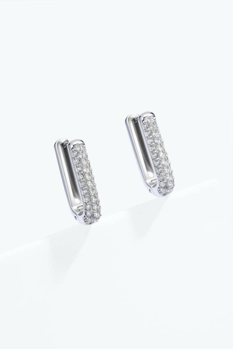 Stainless steel earrings 124AQ647