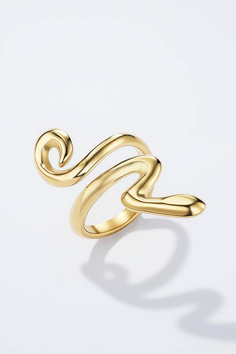 Bague en acier inoxydable 424RX229
