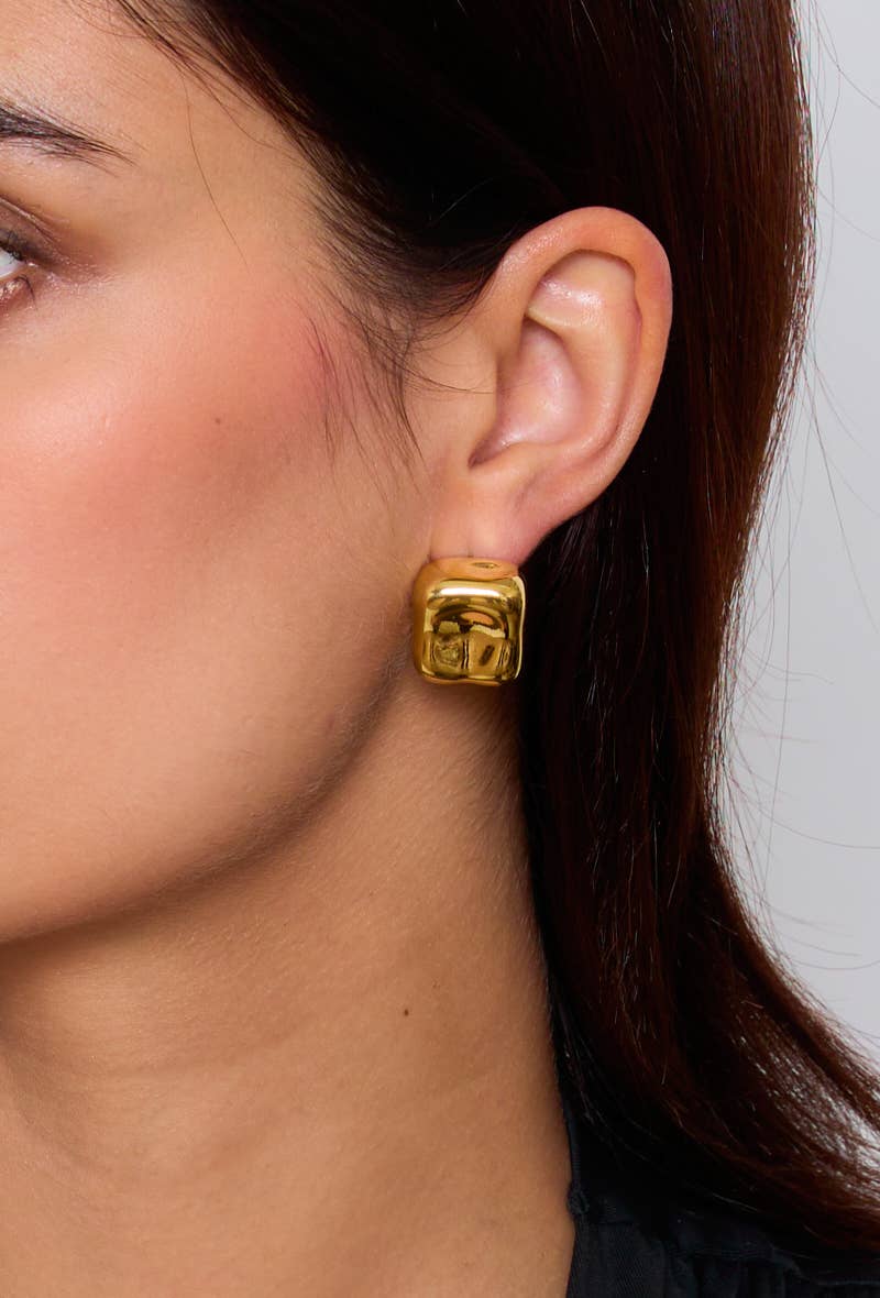 Boucles d'oreilles puces en acier inoxydable 124AQ34