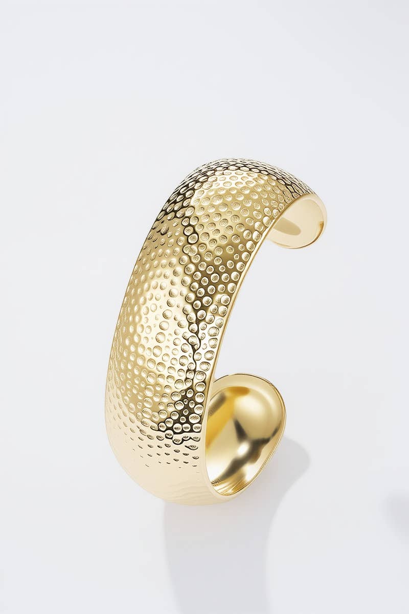 Bracelet jonc en acier inoxydable 324AQ254