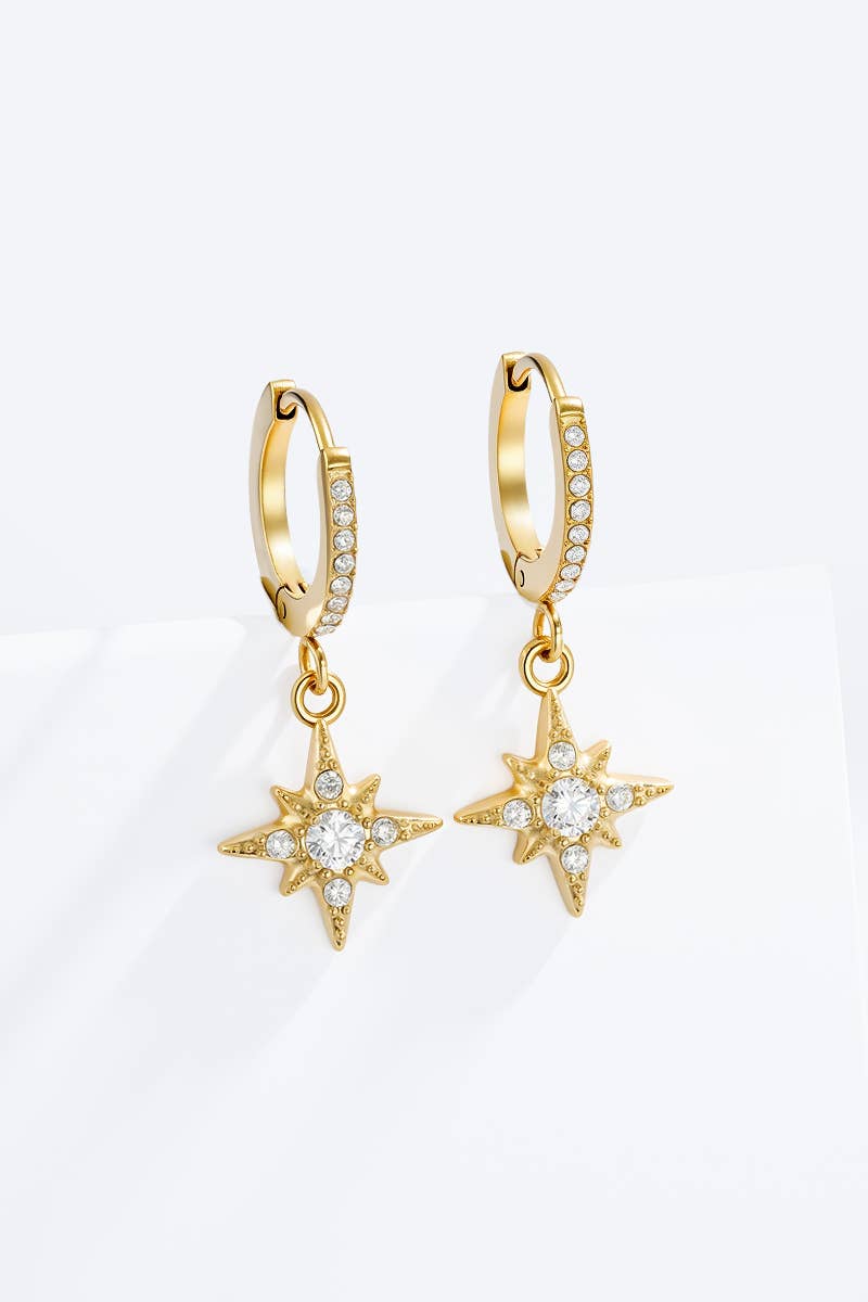Stainless steel earrings 124AQ577