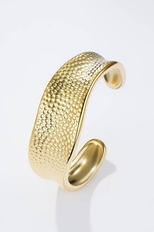 Stainless steel bangle bracelet 324AQ253