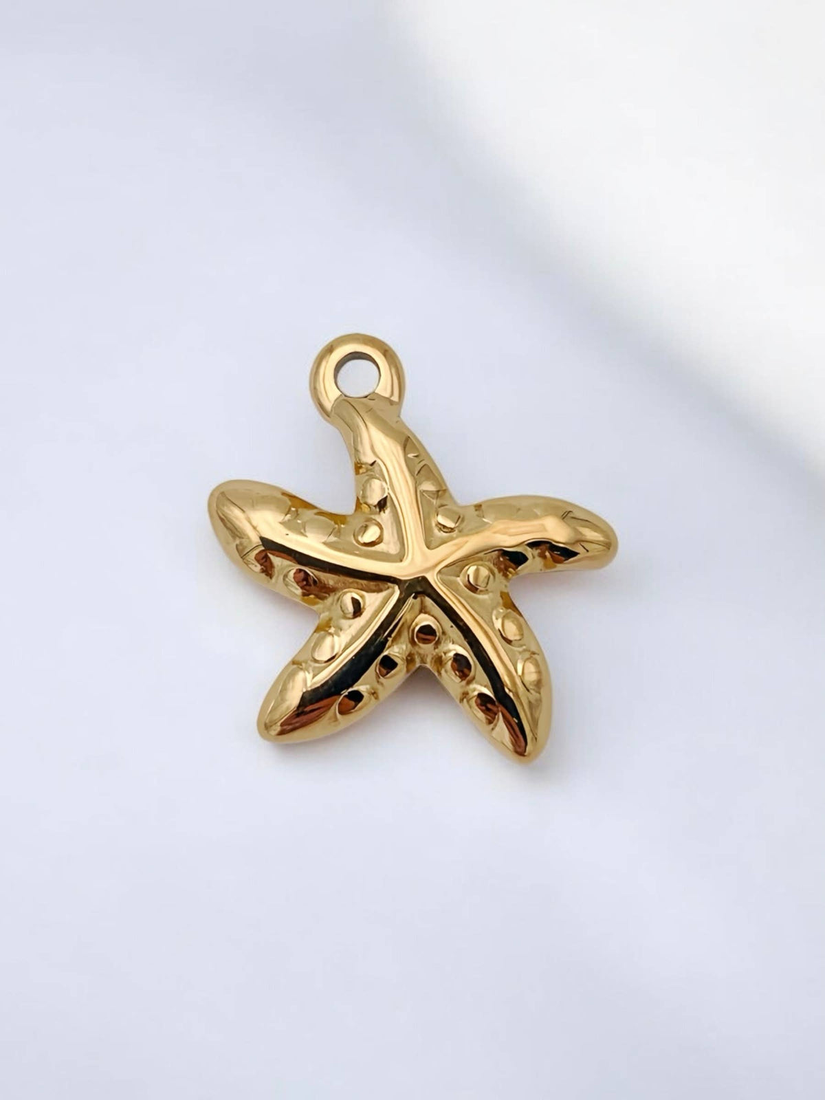 Stainless steel charm CHARM11