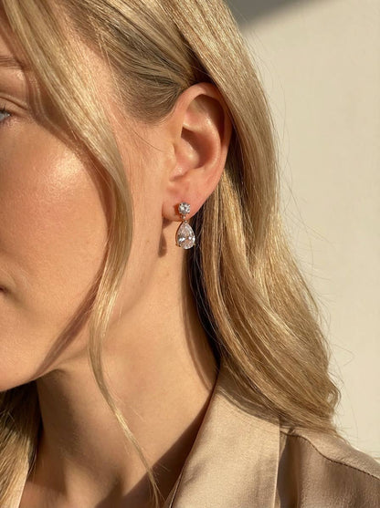 Stainless steel earrings 124AQ562